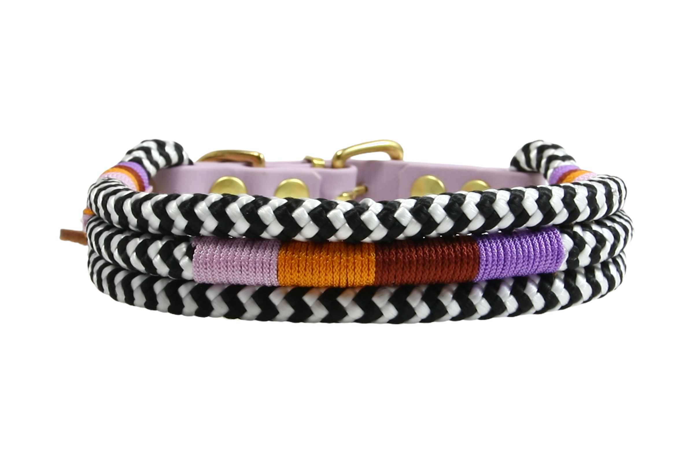 Hundehalsband Zebra Violet Savannah