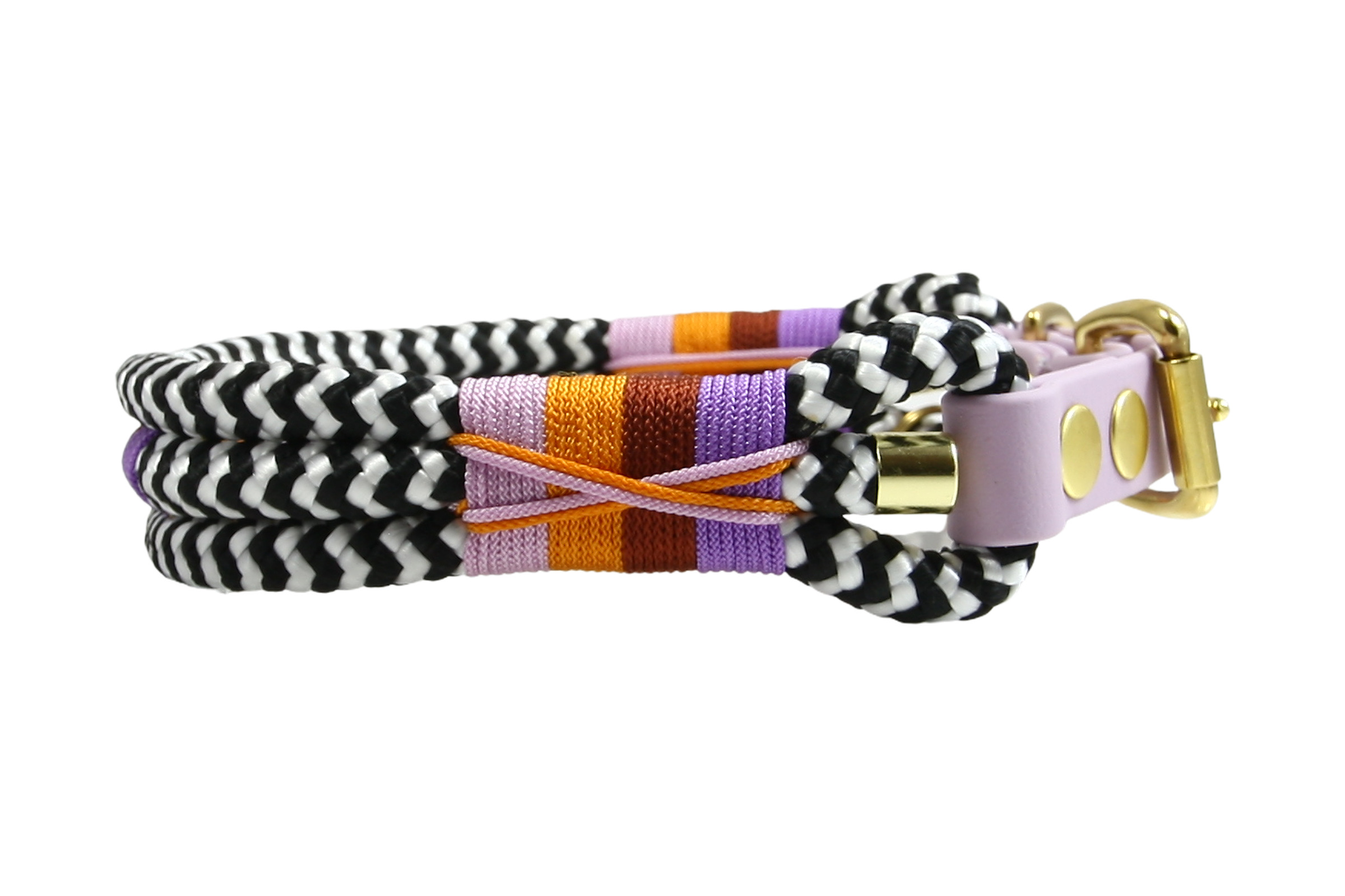 Hundehalsband Zebra Violet Savannah