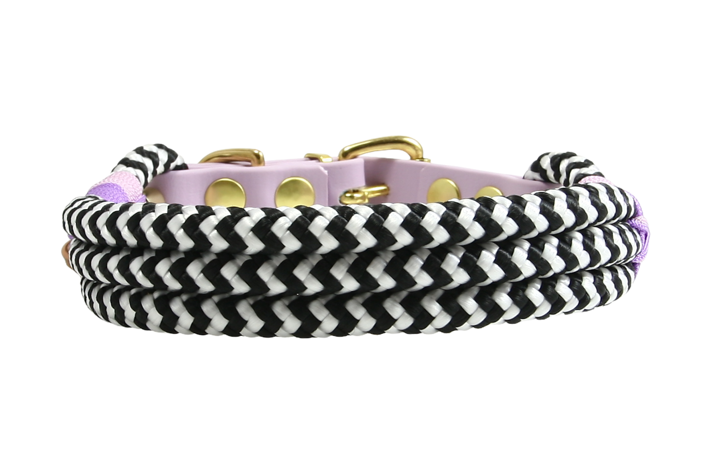Hundehalsband Zebra Violet Horizon
