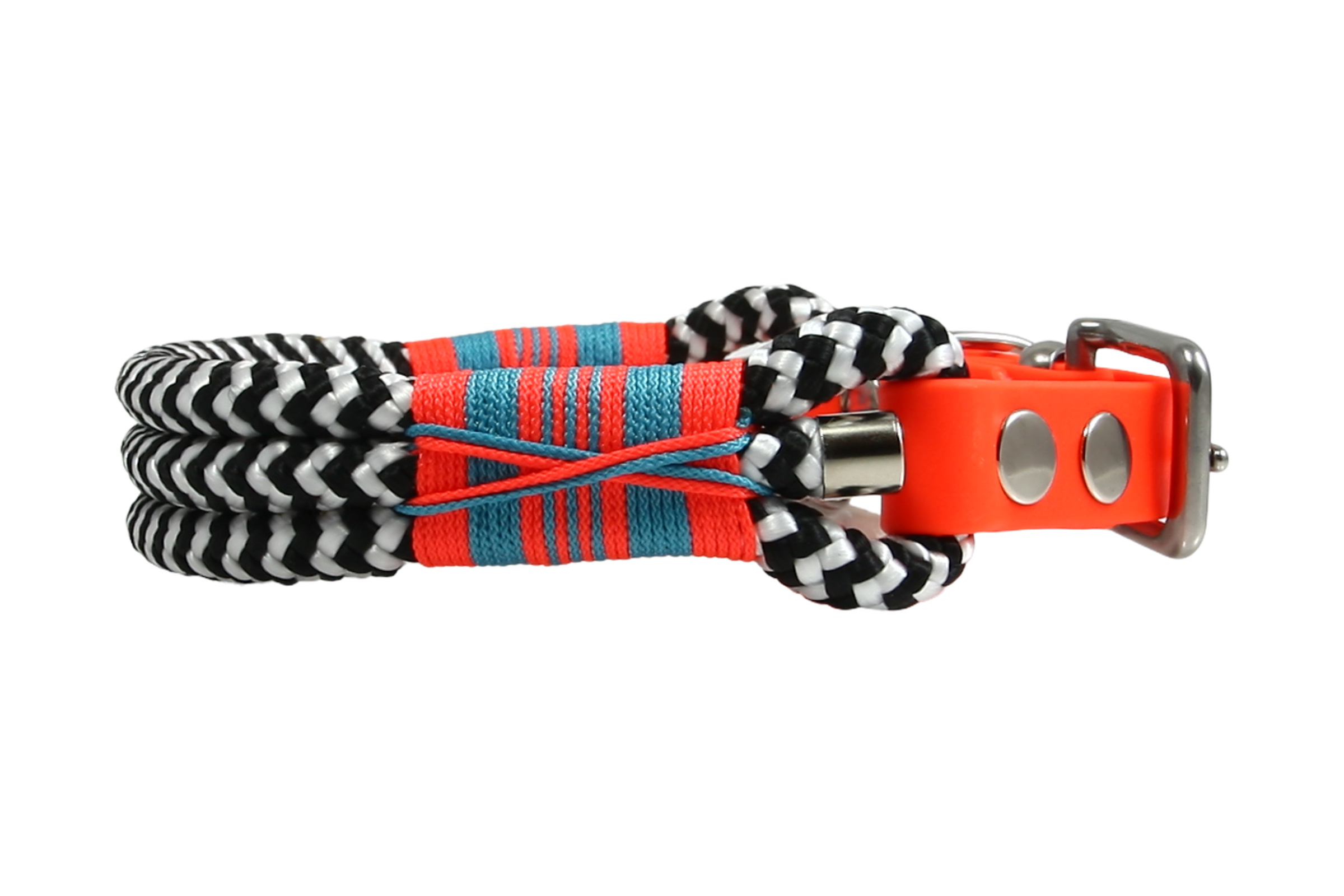 Hundehalsband Zebra Blaze