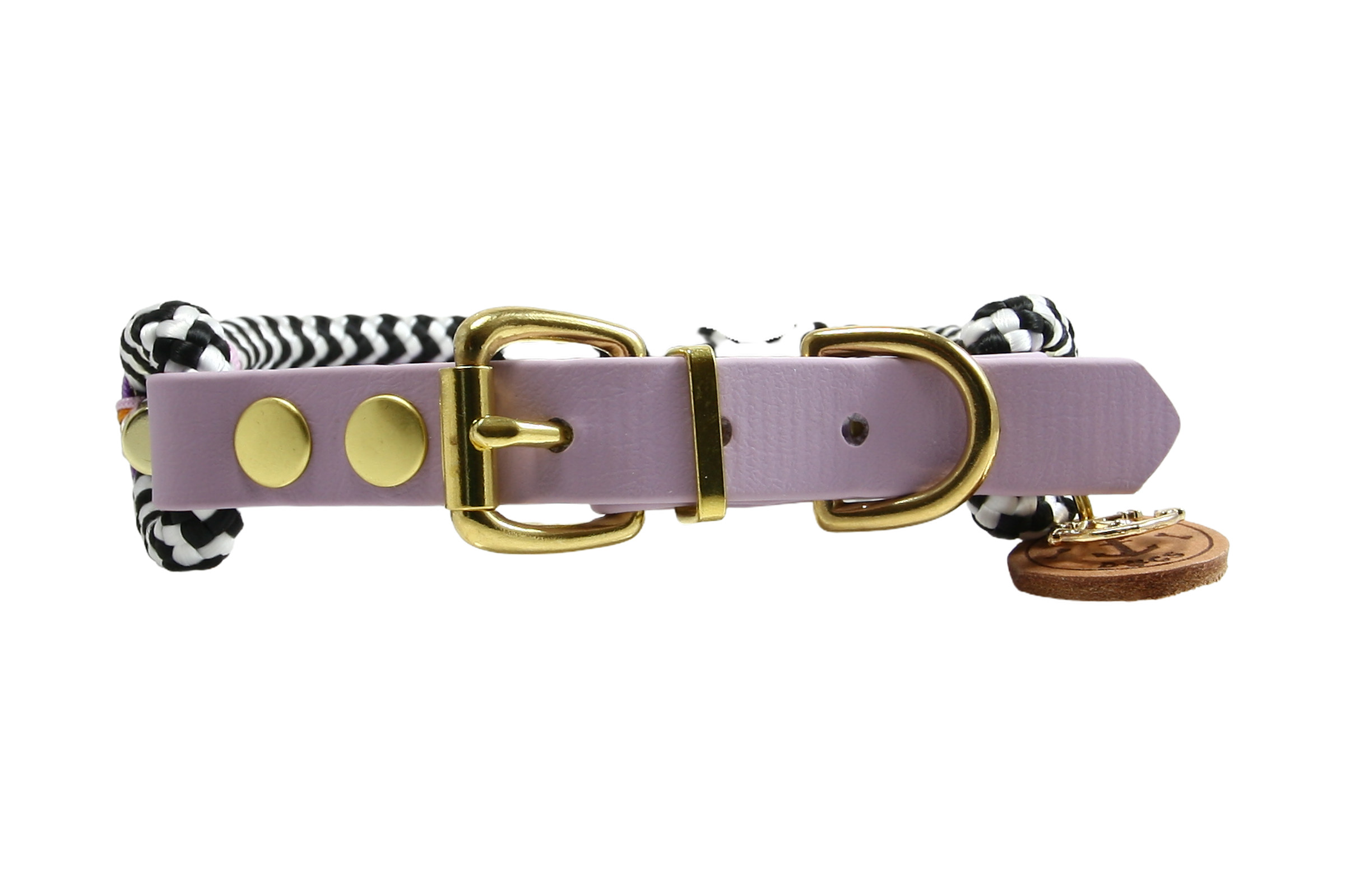 Hundehalsband Zebra Violet Horizon