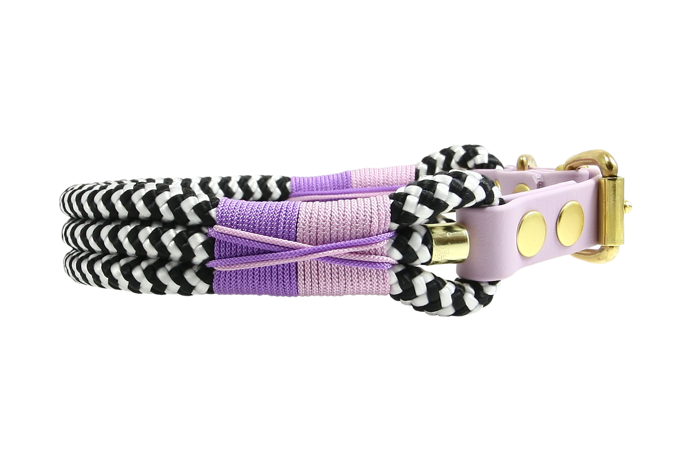 Hundehalsband Zebra Violet Horizon