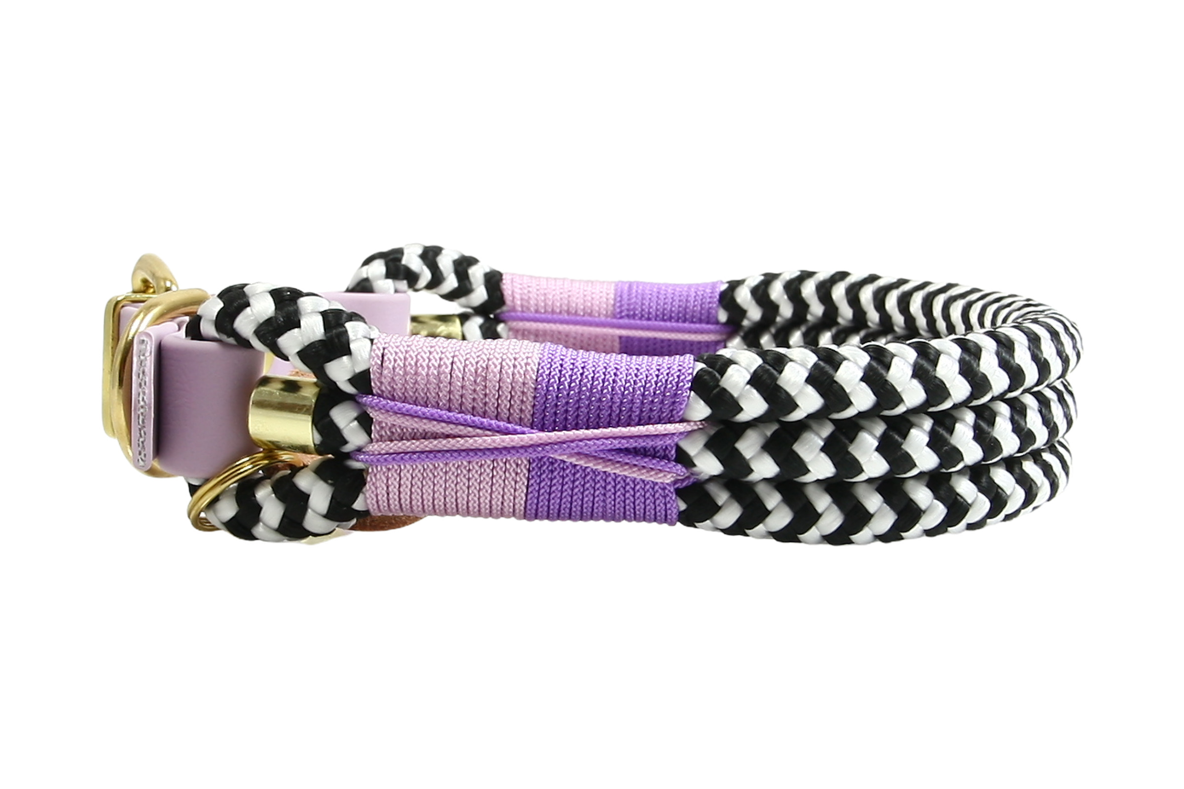 Hundehalsband Zebra Violet Horizon