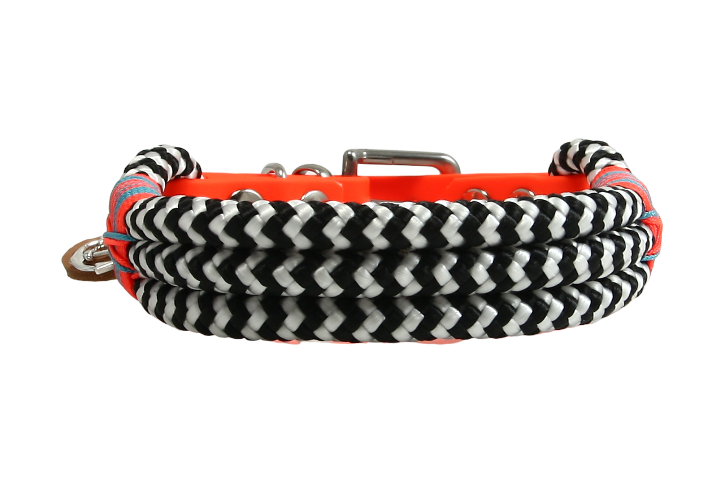 Hundehalsband und Leinen Set Zebra Blaze