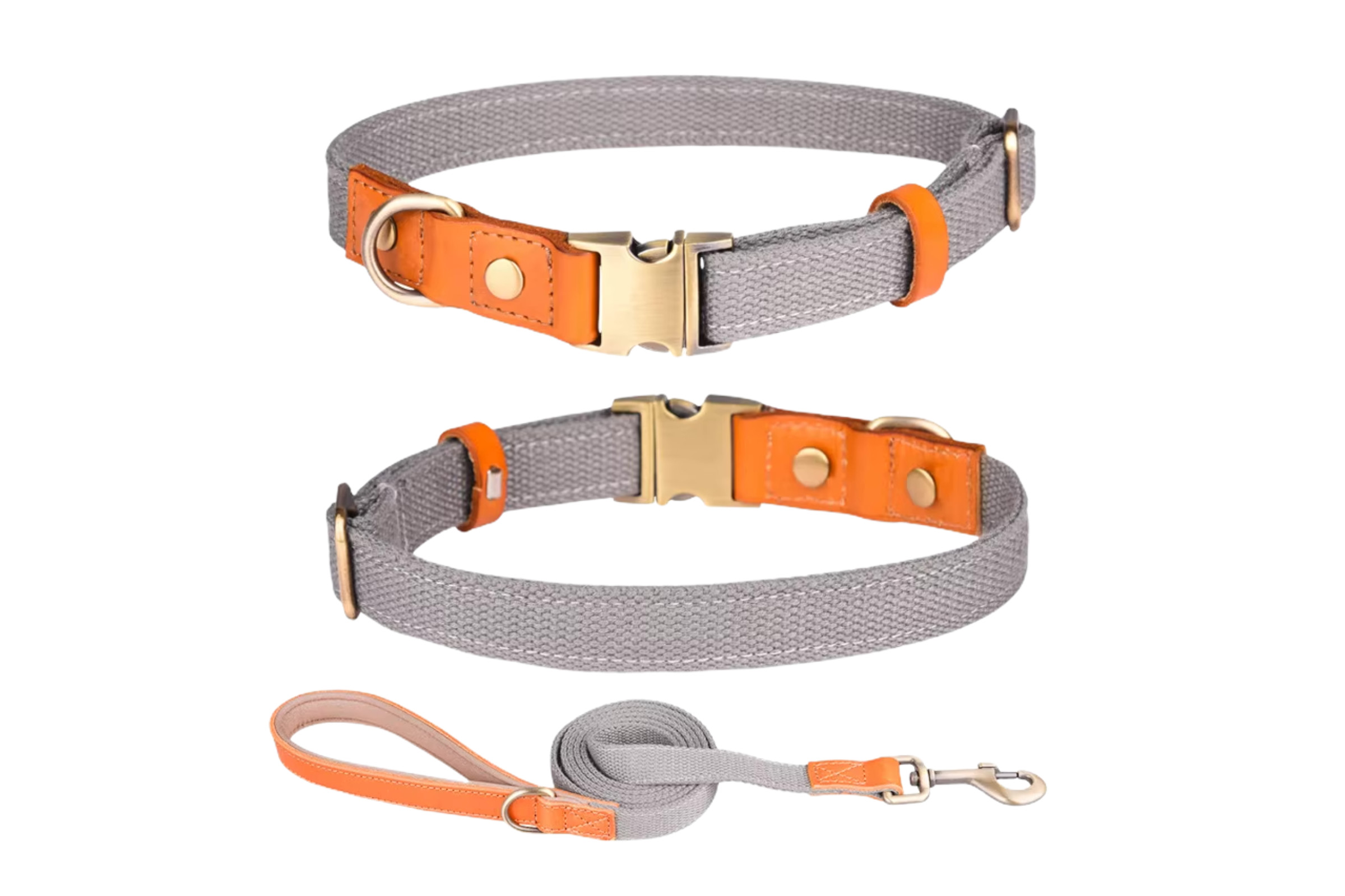 Halsband- Leinen Set Gray