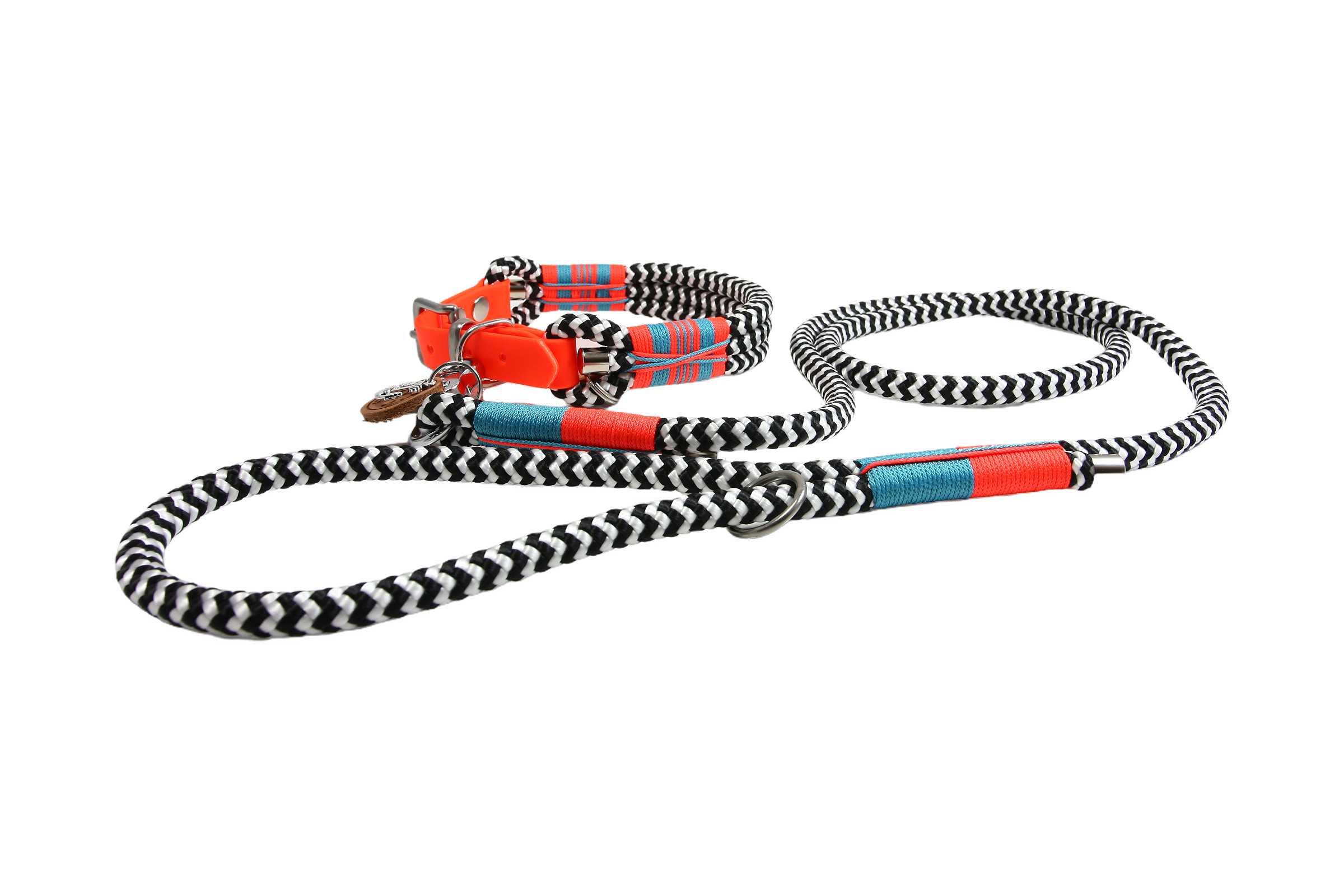 Hundehalsband und Leinen Set Zebra Blaze